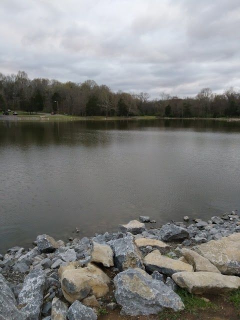 Cedar Hill Park